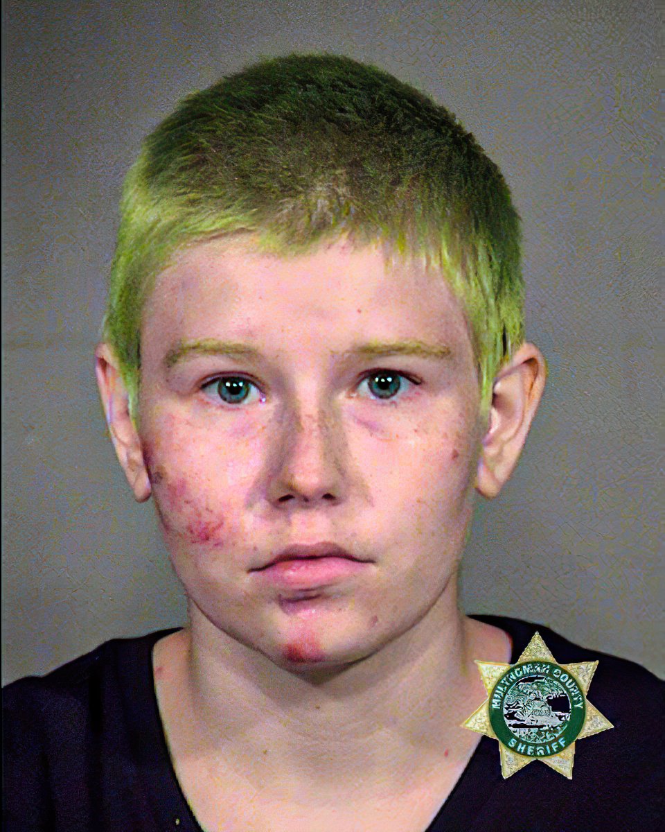 Grace Dietzschold, 18, a green-haired Portland lesbian activist, was arrested dressed in black bloc. She's charged w/attempted assault of an officer, harassment, resisting arrest & more. She was quickly released without bail.  #PortlandRiots  #antifa  https://archive.vn/8uBtB 