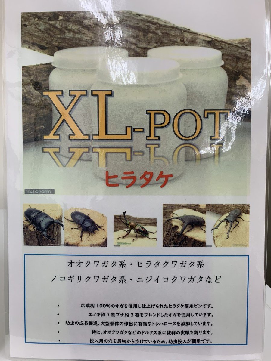 昆虫 チャーム公式 Charm Insect Twitter 昆虫 チャーム公式 Charm Insect Twitter