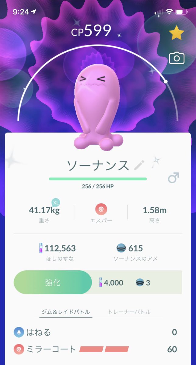 ソーナンス色違い