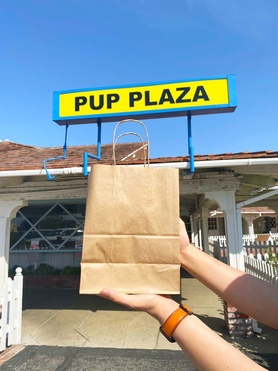 pettobox's tweet photo. Sunday Funday dropping off Catbuzz to amazing volunteers @svpetproject working on the weekends to support animals in need. 

To learn more about this great organization, please visit: https://t.co/GeNI6gZs0U

#adoptdontshop #catbuzz #catnip #covid #lockdown #cats  #catlife https://t.co/NFz9arVMn9