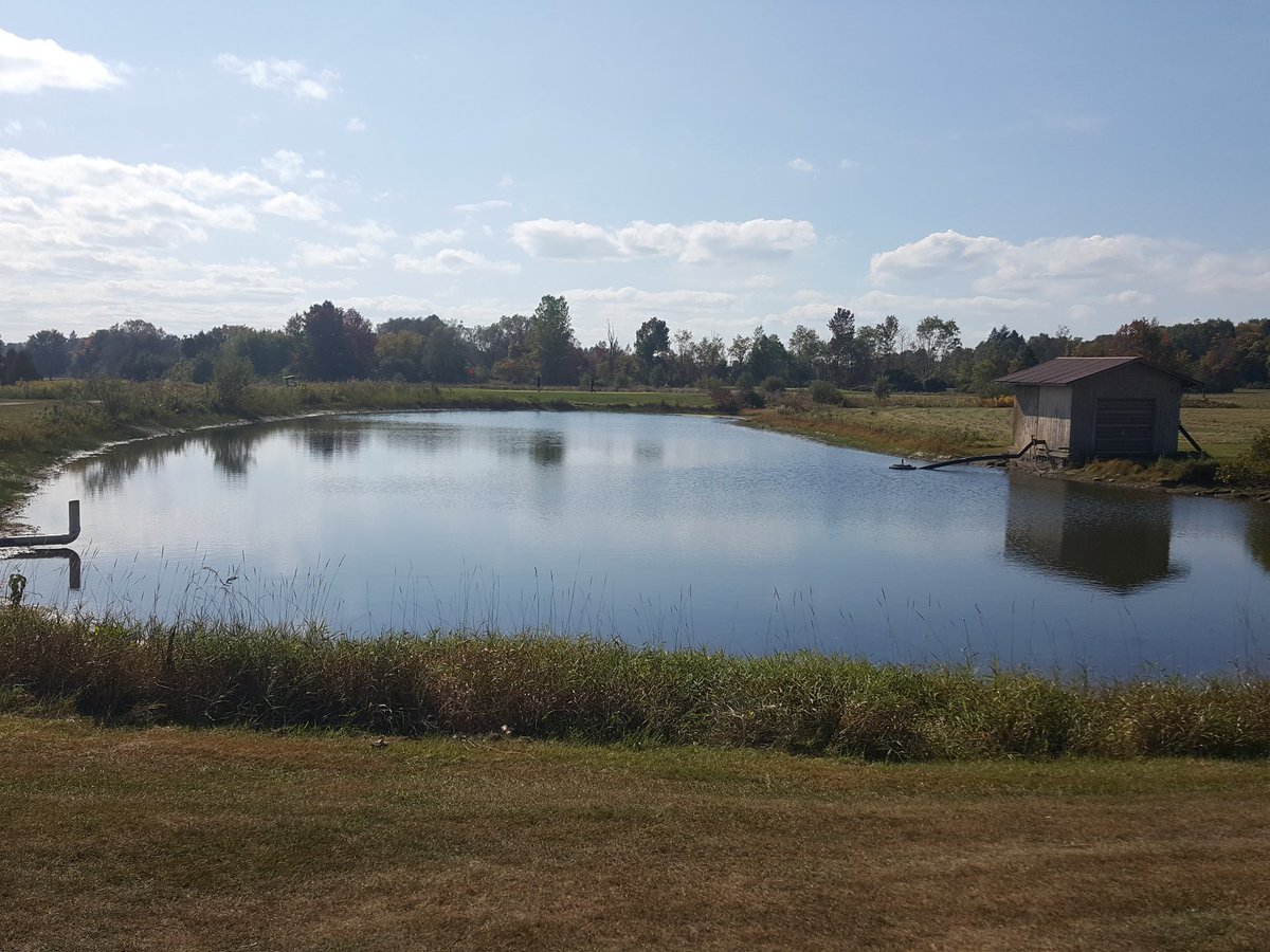 Grassland_DSG's tweet image. Had a great time at Fox Run Saturday. The course is in great shape. Pretty low irrigation pond though #rainneeded @thefoxrunpro