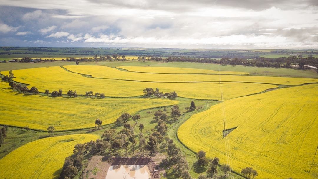boekemans's tweet photo. It's that beautiful time of year again in Western Australia! 🌼 

Share with us the beautiful shots you’ve captured! Make sure to #BoekemansSpringShots 

#waisbest #thisisWA #harvestseason https://t.co/ln1jGTO3nV