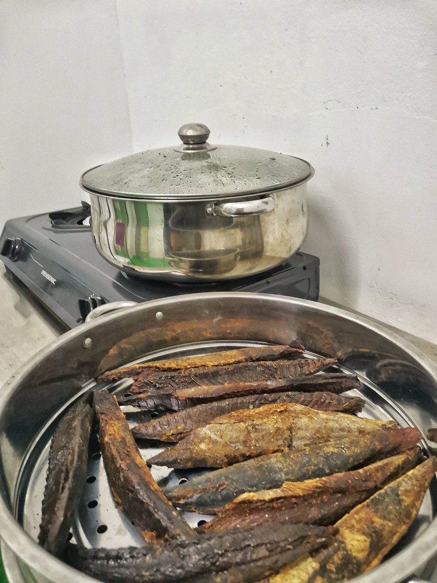 Sebelum process flaking, smoked skipjack tuna tu kita steam dulu supaya dia soften a bit. Kalau tak, keras mcm kayu, rosak habis flaking blade.Time steam ni, bau ikan naik semerbak harum, sampai kat depan kilang ada kucing datang. 