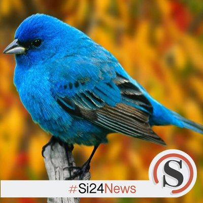 “Il cambiare idea dopo aver fatto degli errori è sintomo di onestà e di coerenza con se stessi e con gli altri.” 

WEB BLU

#buongiono #Si24 #Si24notizie #Si24news