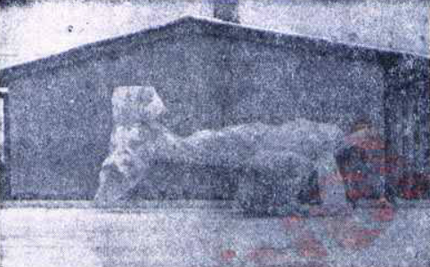 Yıl, 1971...
"Bisküvi fabrikasında özel uçak yaptırdı...
Edirneli iş adamı, uçağın yalnız motorunu dışarıdan getirtti...