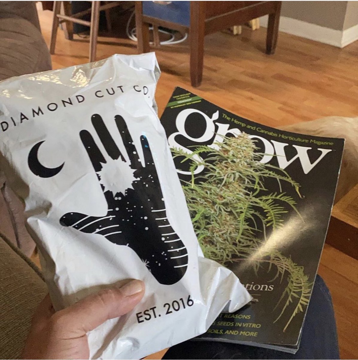 ig: @ joedirtgrower <a href="/grow_magazine/">Grow Magazine</a> 🤙 🤚✨