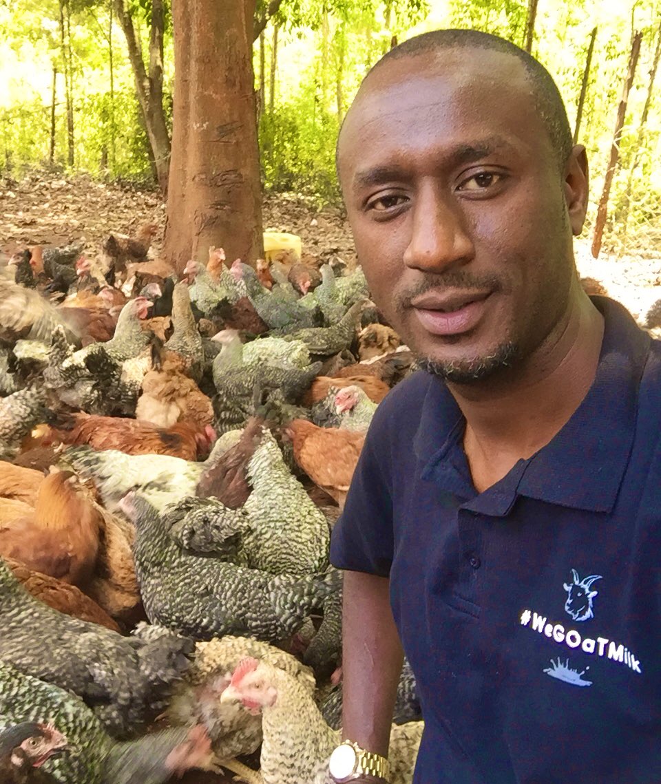 I've learned more from my failures than I've learned from my successes... #UkulimaSioUshamba