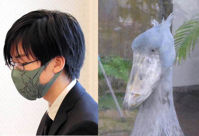 朝日新聞囲碁取材班 耕 芝野名人が着けてきたマスクはハシビロコウ柄 動かない鳥 として知られていますが 芝野名人も対局中は動きが少ないことで有名です 速報 芝野名人のマスクに描かれた鳥 飛び交う臆測 朝日新聞デジタル T Co 朝日新聞囲碁取材班 耕 芝野名人が着けてきたマスクはハシビロコウ柄 動かない鳥 として知られていますが 芝野名人も対局中は動きが少ないことで有名です 速報 芝野名人のマスクに描かれた鳥 飛び交う臆測 朝日新聞デジタル T Co