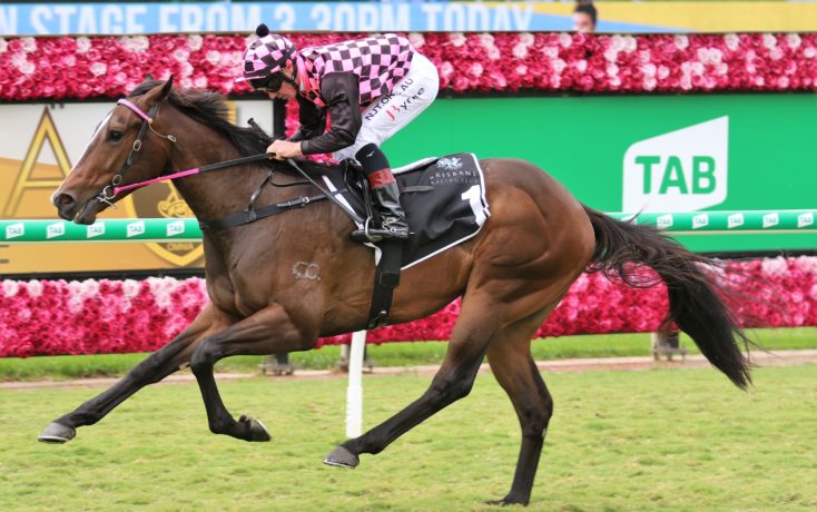 Itips_Crew's tweet image. We feature the Memsie Stakes at Caulfield as part of the Melbourne Spring Racing Carnival.
-
Read The Full Blog Here:
itipsports.com.au/melbourne-raci…
-
#memsie #memsiestakes #sydneyracing #melbourneracing #tips #tipping #racing #racingtips #horseracing #randwick #flemington #springracing