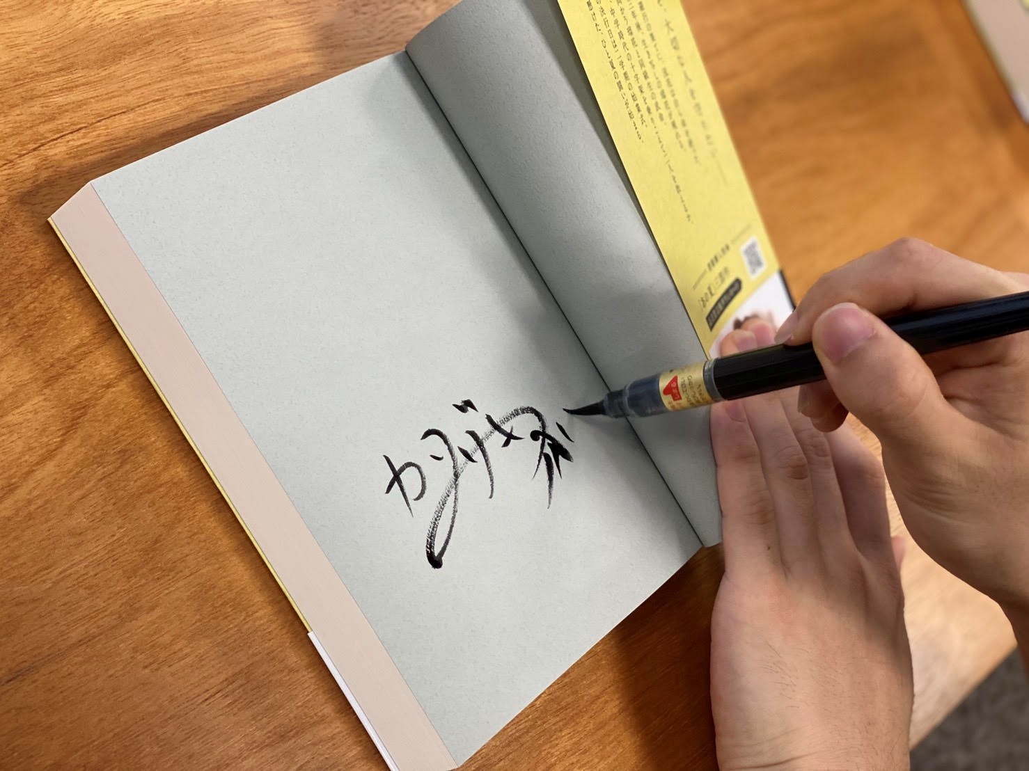 カンザキイオリ あの夏が飽和する。 サイン 直筆 ボカロP Amazon.co.jp: あの夏が飽和する。 サイン本 カンザキイオリ
