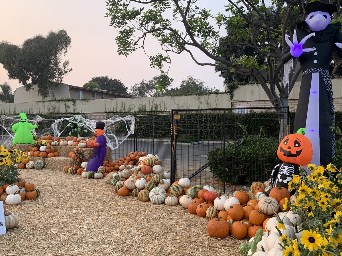 #mightycostamesa has pumpkins 🎃!!! @downeypackerfan <a href="/Steven_Mousseau/">Steven Mousseau</a> <a href="/JeffKellerHD/">Jeff Keller</a> <a href="/SilverFoxTHD/">Gregory Schaeffer</a> <a href="/RyanGriffinTHD/">Ryan Griffin</a> <a href="/TylerBrittTHD/">Tyler Britt</a> <a href="/THD_Gabby/">Gabrielle Sandvik</a> <a href="/AshleighTHD/">Ashleigh Holbrooks</a>