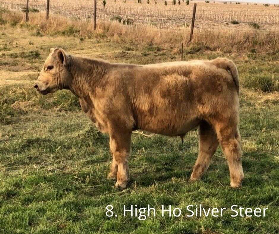 SrMcIntyre16's tweet photo. Thanks to @seth_gohl for adding some high quality dudes to our open house this  weekend in Hayes Center, Ne. These Fellas sell October  6th on @SCOSales @McKenizeM https://t.co/y5w8b3gbTt