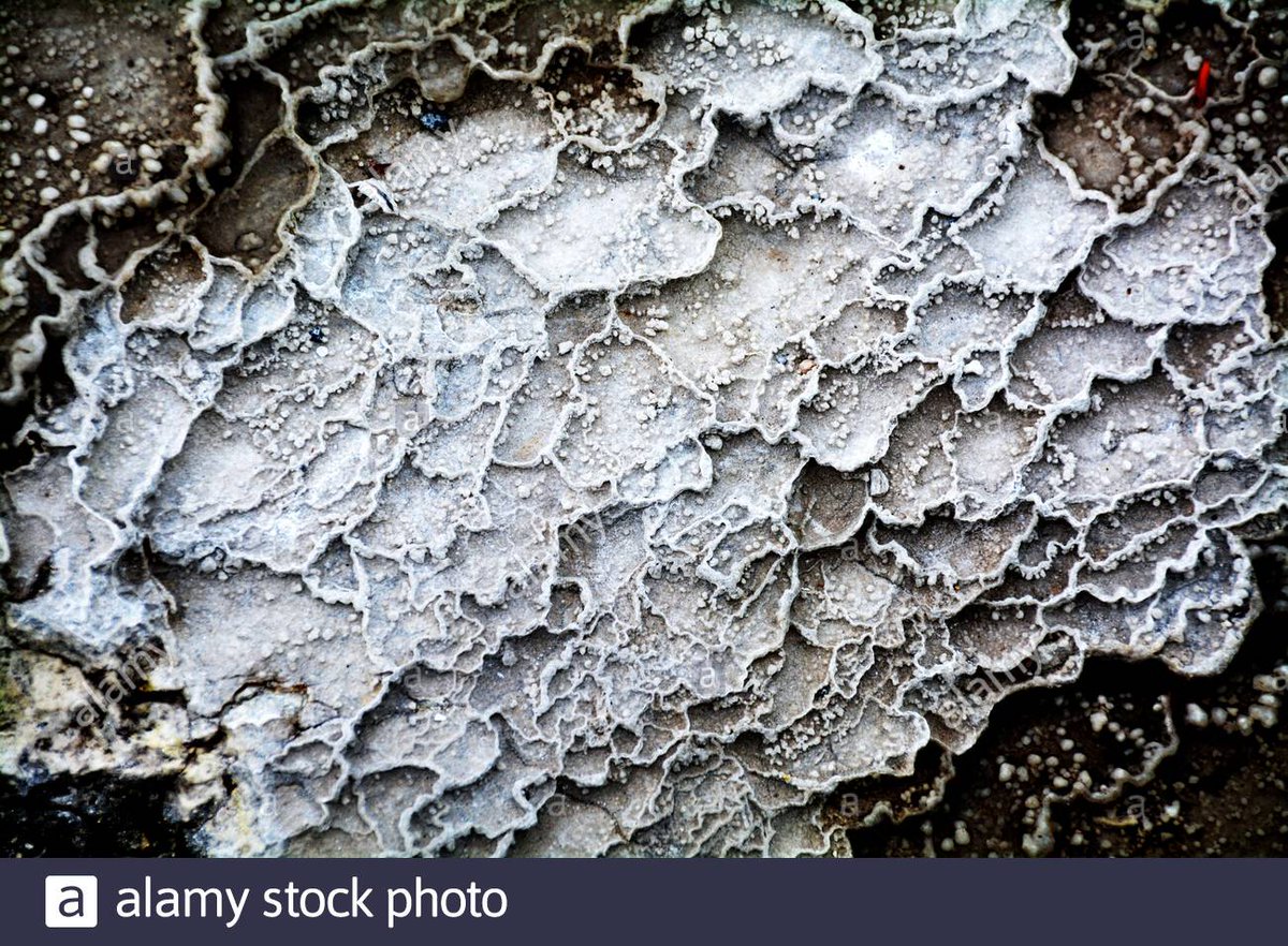 Hot springs (picture:  https://www.alamy.com/close-up-view-of-sinter-terraces-showing-silica-deposit-detail-waiotapu-geothermal-park-new-zealand-image357599906.html)