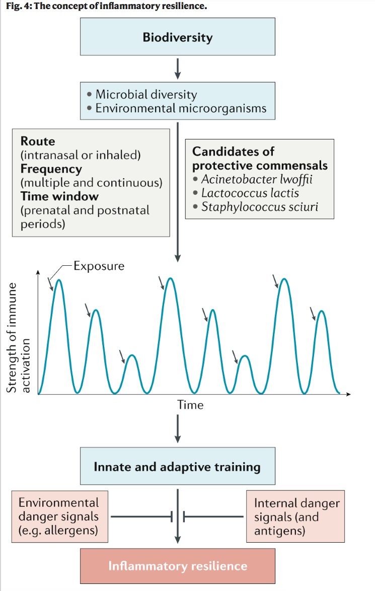 mmw_lmw's tweet photo. Early life #Microbial_Exposures and #Allergy_Risks | The concept of inflammatory resilience | Harald Renz @Uni_MR @NatRevImmunol https://t.co/y1ZwsMXWIz https://t.co/f4WsSNR5H5