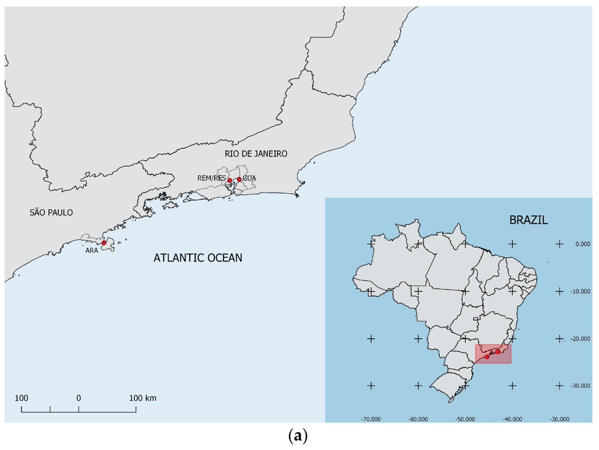 Diversity MDPI tweet media