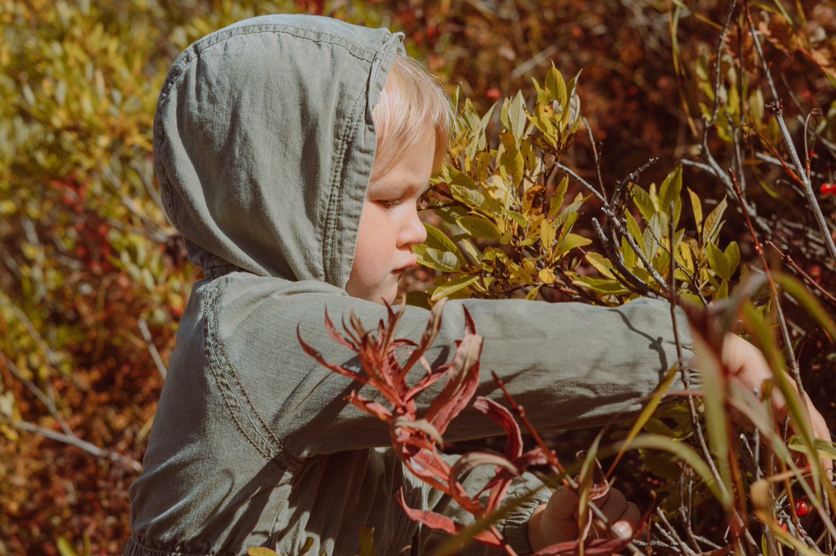 changethefilter's tweet photo. When a family photoshoot turns into wild mountain exploration + low bush blueberry picking 😋 https://t.co/qnZcNktoKs
