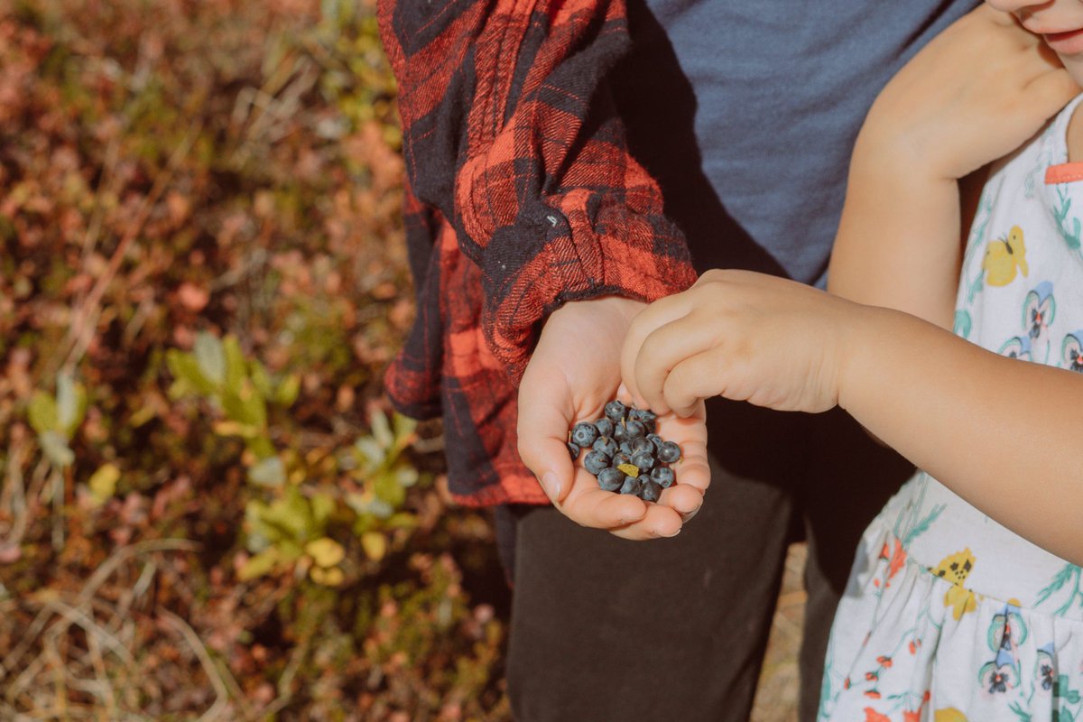 changethefilter's tweet photo. When a family photoshoot turns into wild mountain exploration + low bush blueberry picking 😋 https://t.co/qnZcNktoKs