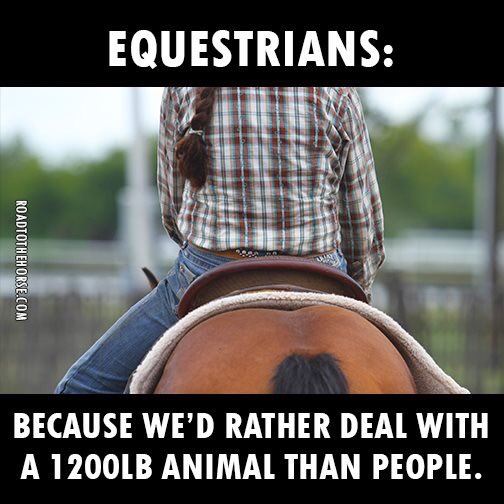 Little Tuesday humor for you :) 😆🐴#Lol #RatherbeRiding #LoveMyHorseLife