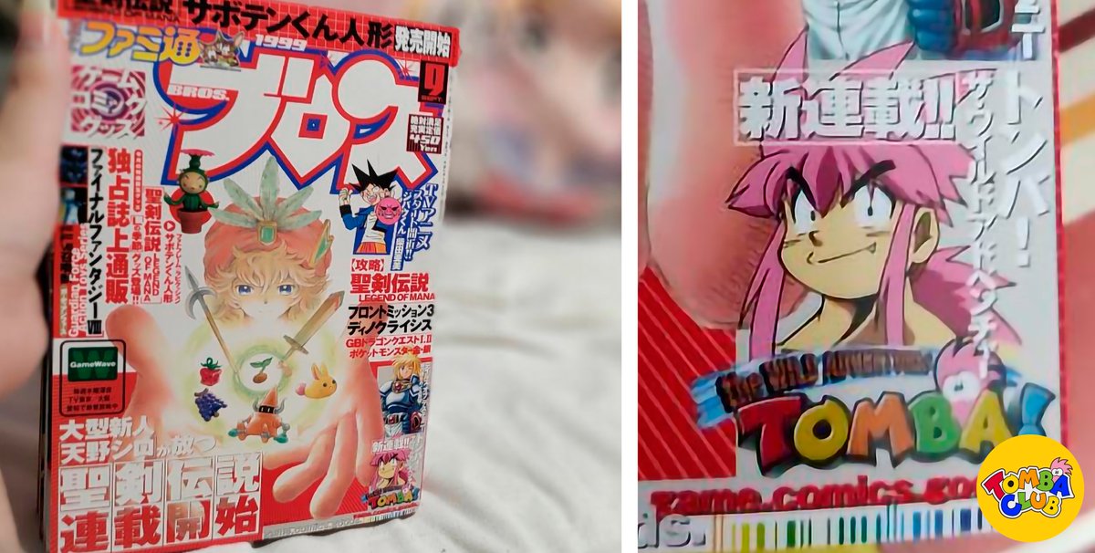 Tamatou Tamatou Lex Twitter