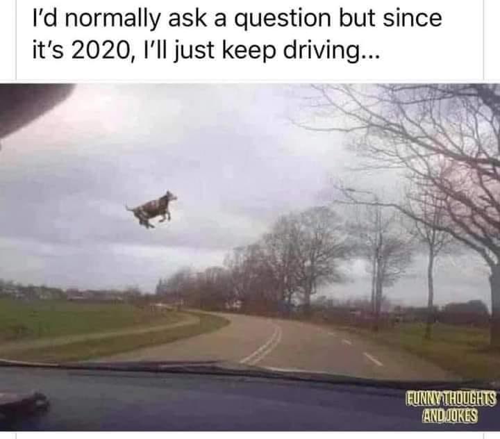 💋Minx💋 tweet media