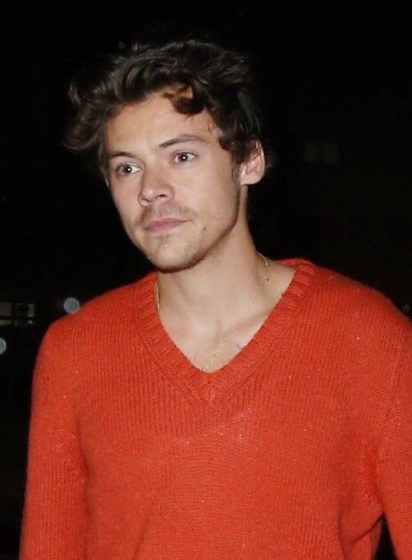 he looks so cuddly.