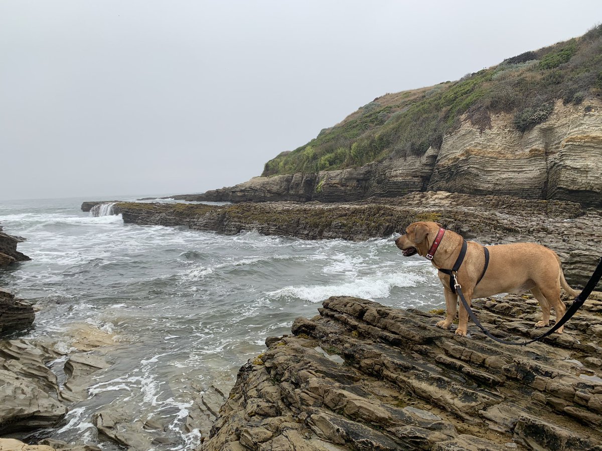 DukeTravelsCA's tweet photo. It’s #TriviaTuesday and on vacation last month, Duke found this really unique place! He wished we could have stayed longer and watched the tide roll in and out over these awesome rock formations...#WhereisDuke?? ⬇️rules below! https://t.co/MUgecZtJHB