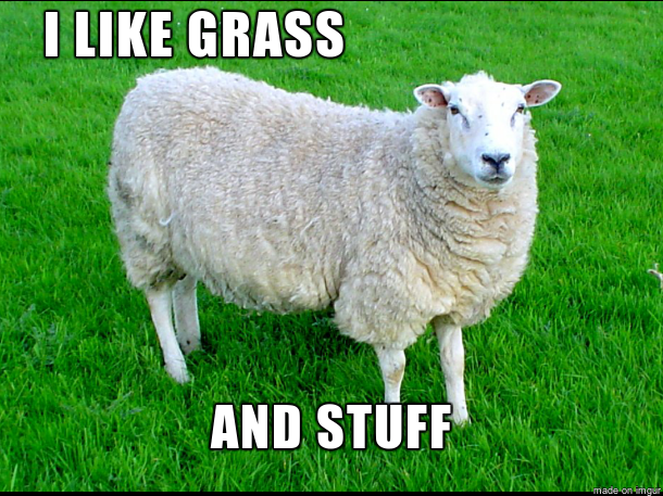 (6) I'm thankful that during my life I got to see life as it is, not how political manipulators want me to see it. I now (hopefully) have many years left to appreciate the good things, instead of buying into a self destructive narrative. Not a sheep, or a wolf. A sheepdog.