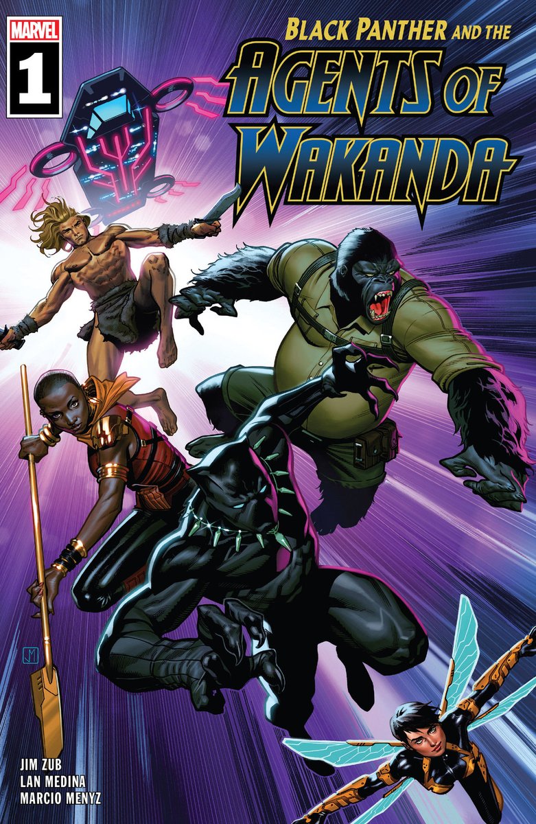 Other Series:Killmonger (2018-2019) https://www.amazon.com/dp/B07KB88486  5 IssuesBlack Panther & The Agents of Wakanda (2019-Present) https://www.amazon.com/dp/B07TCLLRS9  8 IssuesMarvel Action: Black Panther (2019-Present)(All Ages Book) https://www.amazon.com/dp/B08126LV7X  6 Issues