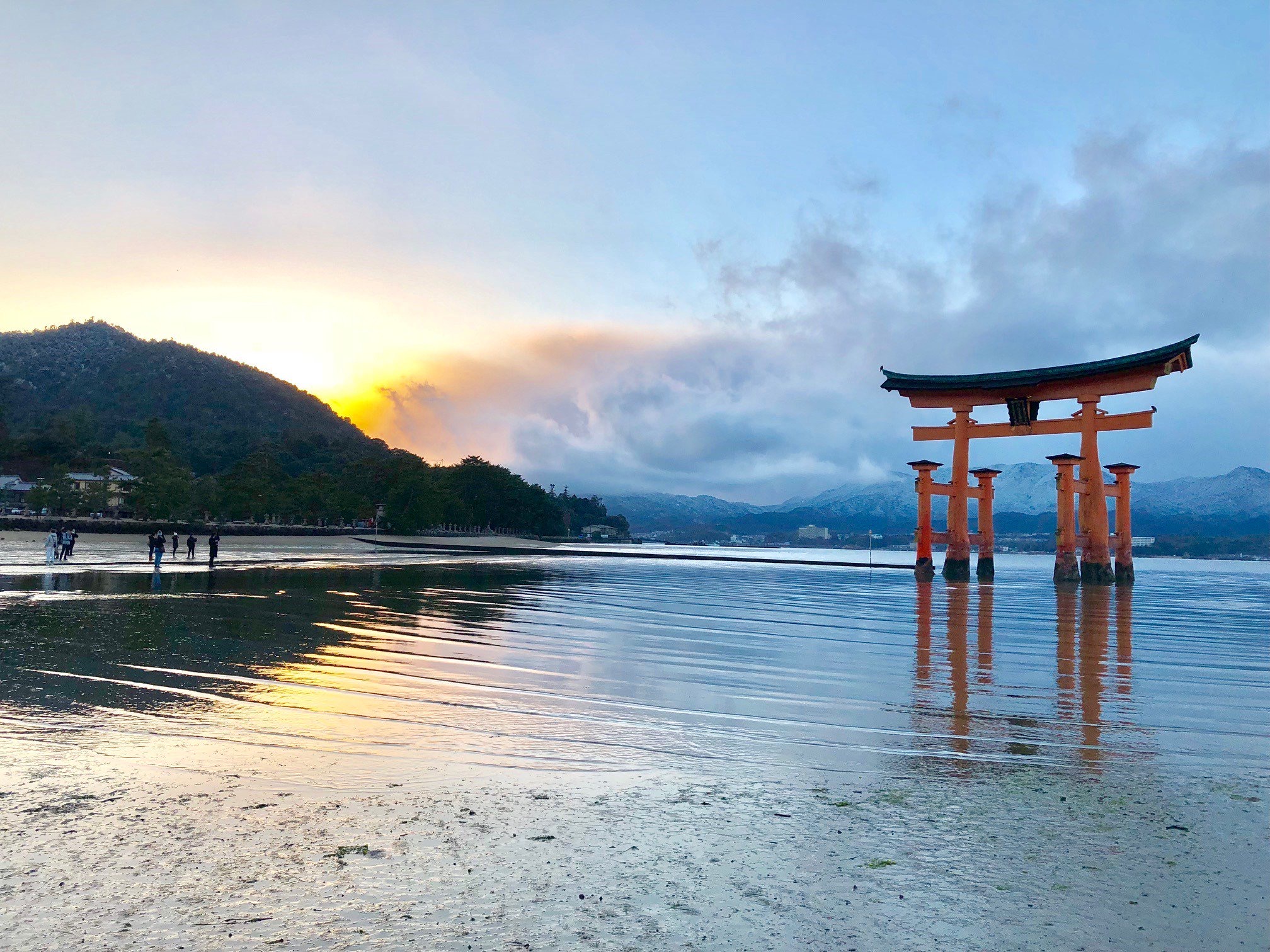 Tssテレビ新広島 厳島神社 のミステリー調査 今夜７時からは 林修のニッポンドリル 世界遺産 厳島神社 宮島 のミステリー調査 なぜ厳島神社は土足で歩ける 赤い鳥居は海中に置いているだけ T Co Prhyfxyynb Twitter