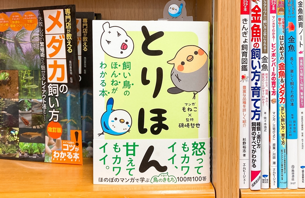 Uzivatel 丸善ジュンク堂書店劇場 Na Twitteru 気になる本 とりほん 飼い鳥のほんねがわかる本 もねこ 磯崎哲也 T Co Zbagldwbsi 冠羽が立つのはどんな気分のとき 文鳥が指の動きに合わせて踊るのはなぜ 鳥はなぜ早起き 似た者どうしがペアになる Uzivatel 丸善ジュンク堂書店劇場 Na Twitteru 気になる本 とりほん 飼い鳥のほんねがわかる本 もねこ 磯崎哲也 T Co Zbagldwbsi 冠羽が立つのはどんな気分のとき 文鳥が指の動きに合わせて踊るのはなぜ 鳥はなぜ早起き 似た者どうしがペアになる
