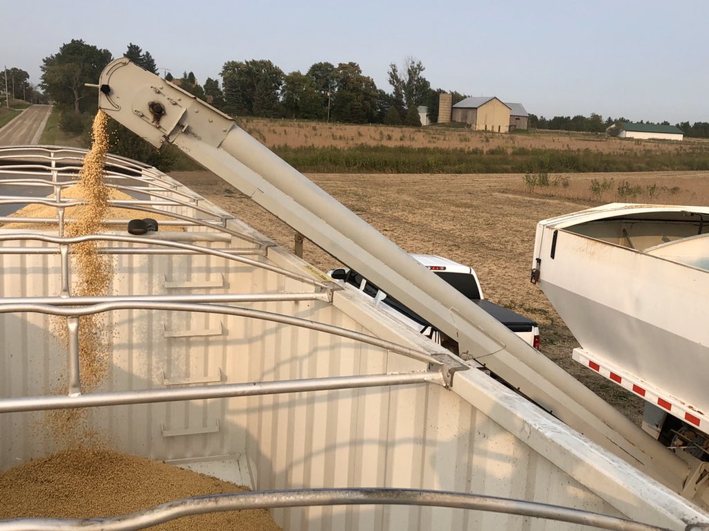 Josh_SFE's tweet photo. First combine tune and calibration in soybeans this year! #ipsoys #harvest20 #OntAg https://t.co/9SBy1tY9US