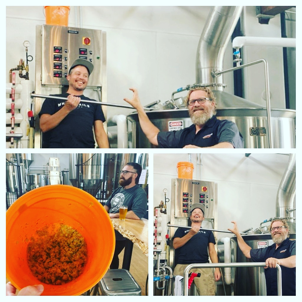 Super excited for this year's version of the Hopposites Attract fresh hop collab from <a href="/whitesailsbeer/">White Sails Brewing</a> and <a href="/LongwoodBrewery/">Longwood Brewery</a>! #Nanaimo #CraftBeer #hops <a href="/BCAleTrail/">BC Ale Trail</a>