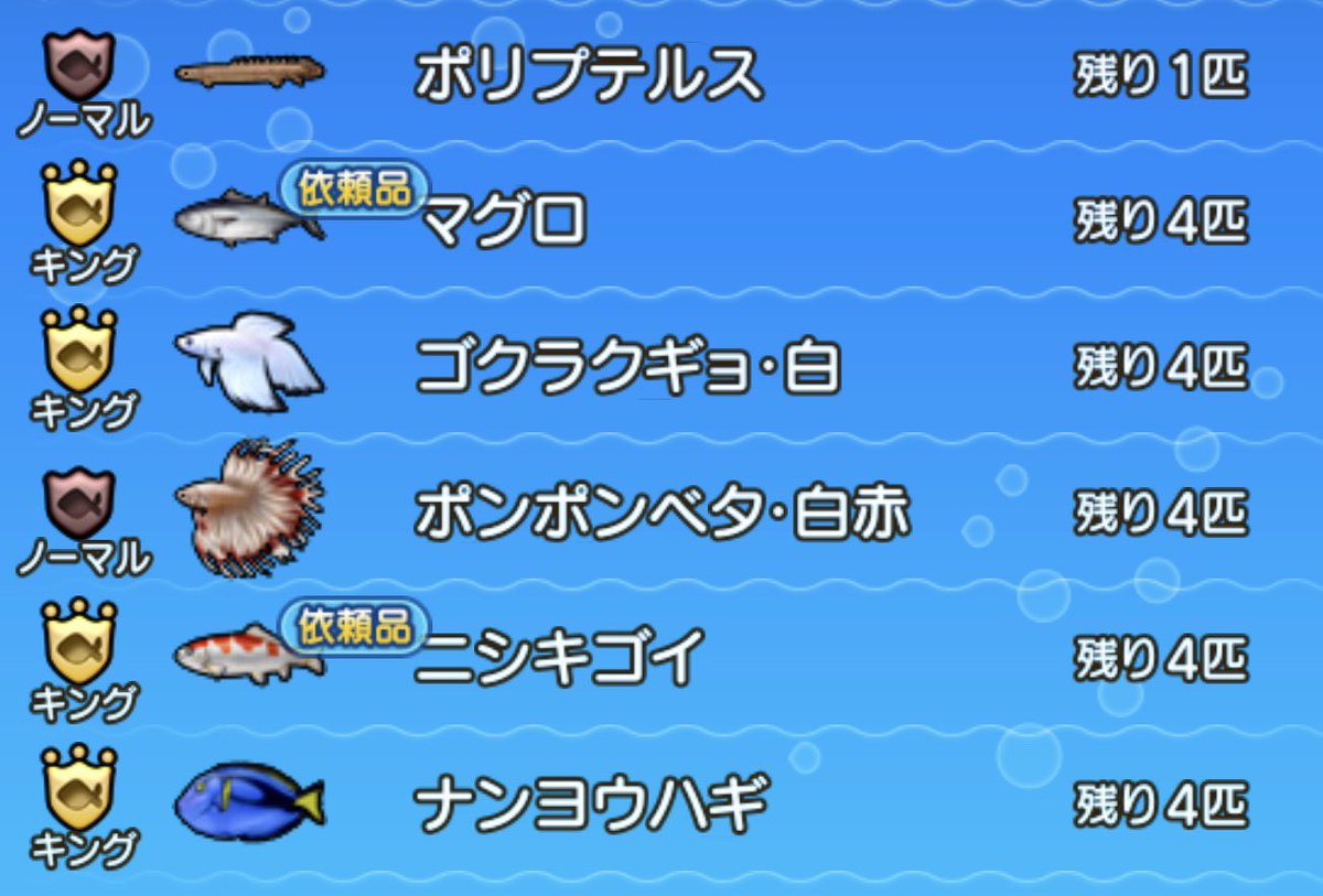 ほみ ポンポンベタ ツール釣り場に来てるわね 力を溜めてよく逃げるのは白 攻めてくるのは青 ゴクラクギョに似てるなと感じるかもね