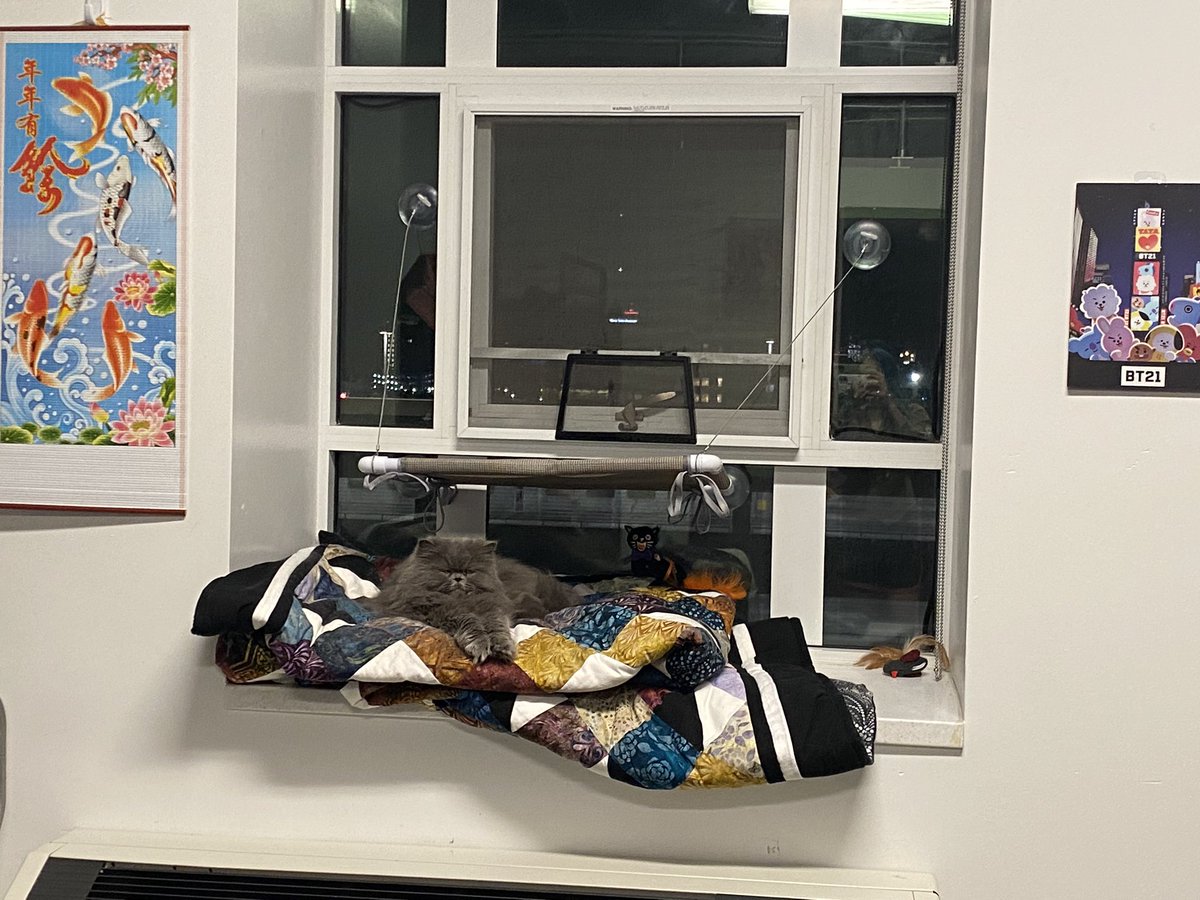 GCFlCS's tweet image. she has this entire window for herself