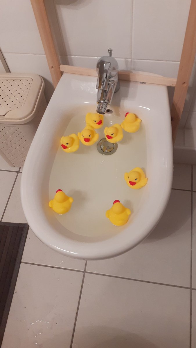 gininateacup's tweet photo. j'ai un bidet dans ma sdb qui me cassait les couilles parce-que clairement les chances que je lave mon cul dedans sont proches de zéro.
et c'est bon je l'aime bien maintenant 😊 https://t.co/Cwu7nGATV7