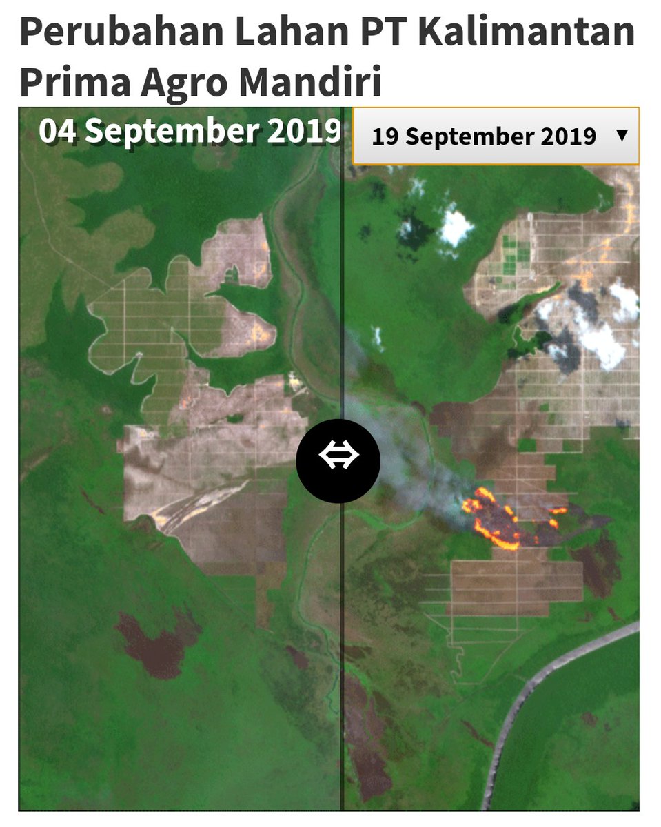 agoeng wijaya tweet media