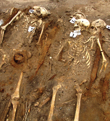 Families! The spectacular Salme ship grave contained 4 brothers buried side by side... an extraordinary story, read more about the burial here:  https://www.archaeology.org/issues/95-1307/features/941-vikings-saaremaa-estonia-salme-vendel-oseberg /5