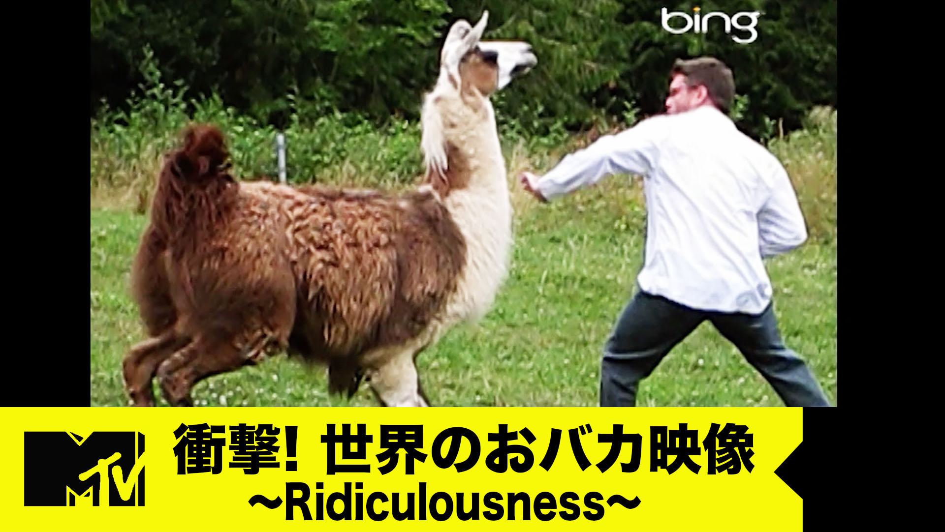 Mtv Japan 番組内のマネはしないでね 世界の笑える衝撃映像をお届けする Mtv Usの人気番組 Ridiculousness ダイジェスト版を Mtv Japan公式youtubeで配信中 Gt Gt T Co Xg8gtmlzzu 是非チャンネル登録もお願いします 世界のお Mtv Japan 番組内のマネはしないでね 世界の笑える衝撃映像をお届けする Mtv Usの人気番組 Ridiculousness ダイジェスト版を Mtv Japan公式youtubeで配信中 Gt Gt T Co Xg8gtmlzzu 是非チャンネル登録もお願いします 世界のお