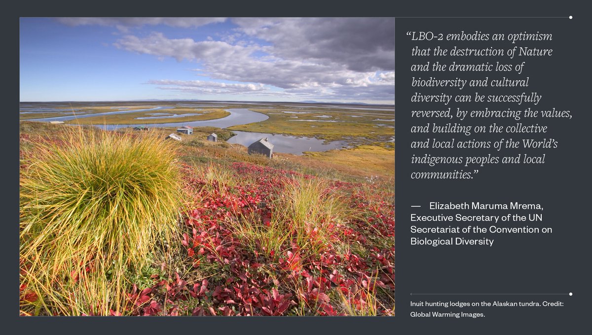 sizeofwales's tweet image. Bydd yr ail argraffiad o Rhagolygon Bioamrywiaeth Lleol yn cael ei lansio heddiw. Mae ei ganfyddiadau'n hollbwysig i drafodaethau tu hwnt i 2020 am bioamrywiaeth. 
Ymunwch â'r digwyddiad lansio: bit.ly/3m3ECsN
#LBO2 #hawliaudynol