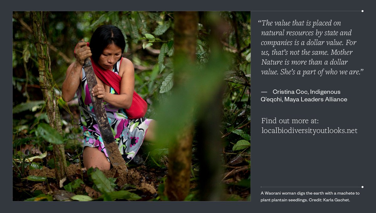 sizeofwales's tweet image. Bydd yr ail argraffiad o Rhagolygon Bioamrywiaeth Lleol yn cael ei lansio heddiw. Mae ei ganfyddiadau'n hollbwysig i drafodaethau tu hwnt i 2020 am bioamrywiaeth. 
Ymunwch â'r digwyddiad lansio: bit.ly/3m3ECsN
#LBO2 #hawliaudynol