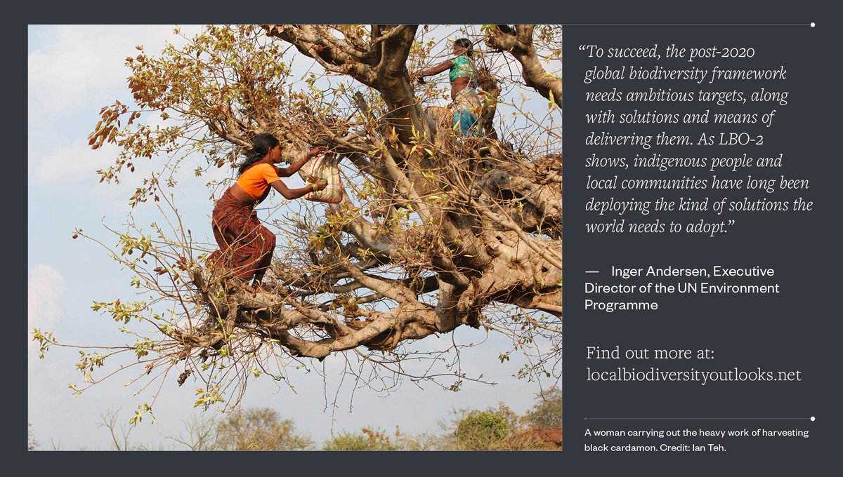 sizeofwales's tweet image. Bydd yr ail argraffiad o Rhagolygon Bioamrywiaeth Lleol yn cael ei lansio heddiw. Mae ei ganfyddiadau'n hollbwysig i drafodaethau tu hwnt i 2020 am bioamrywiaeth. 
Ymunwch â'r digwyddiad lansio: bit.ly/3m3ECsN
#LBO2 #hawliaudynol