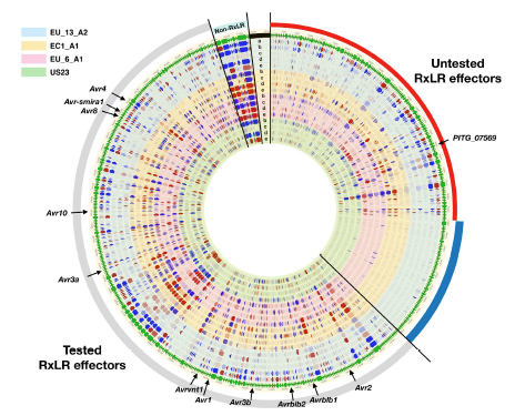 MPPjournal's tweet photo. Always worth looking out for new techniques from the @jonathandgjones team! Long read and cDNA pathogen-enrichment sequencing (PenSeq) used to explore oomycete RXLR families: https://t.co/v3Ypota6oF https://t.co/gqNWs552tt