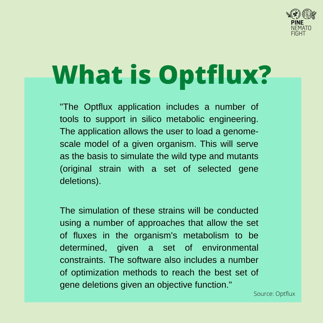 IgemNova's tweet photo. Today we introduce to you OptFlux, a software that allows you to simulate your favourite organism's metabolism using all the major methods for performing metabolic engineering tasks in silico. The best part about it? It's free and it's portuguese 🇵🇹!
#igem #optflux https://t.co/9a2Y3ZP2Ff