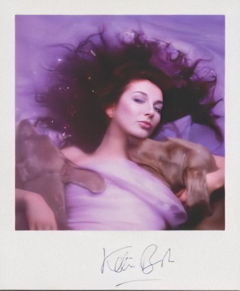 released 35 years ago today ~ “hounds of love” is kate bush’s most commercially successful album to date! it spent 3 weeks at no. 1 in the uk (and 64 weeks on the charts in total) & peaked at no. 30 on the u.s billboard 200. it has been certified 2x platinum by the bpi
