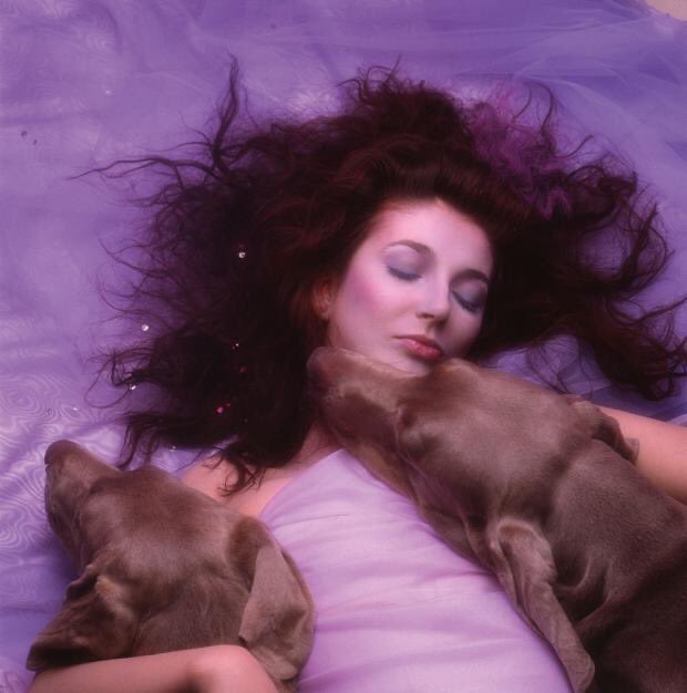 the album is split up into two parts — “hounds of love” and “the ninth wave”. side a, according to kate, consists of 5 individual songs all linked by the theme of love whereas side b is a conceptual suite depicting a story of a person alone, adrift in the sea