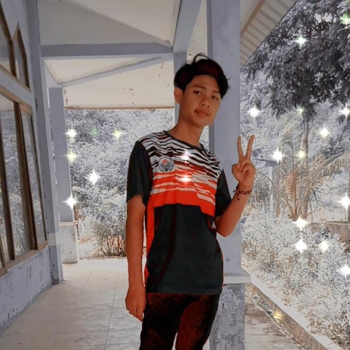 perquinsil tweet media