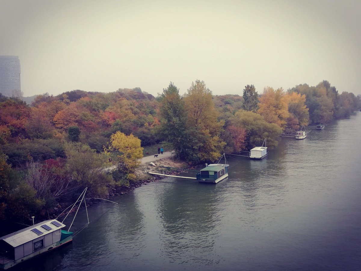 #autumn #danube #vienna