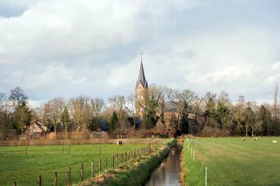 Politie krijgt zes tips binnen over diefstal in Altforst waarbij 15-jarige bij de keel wordt gegrepen ..