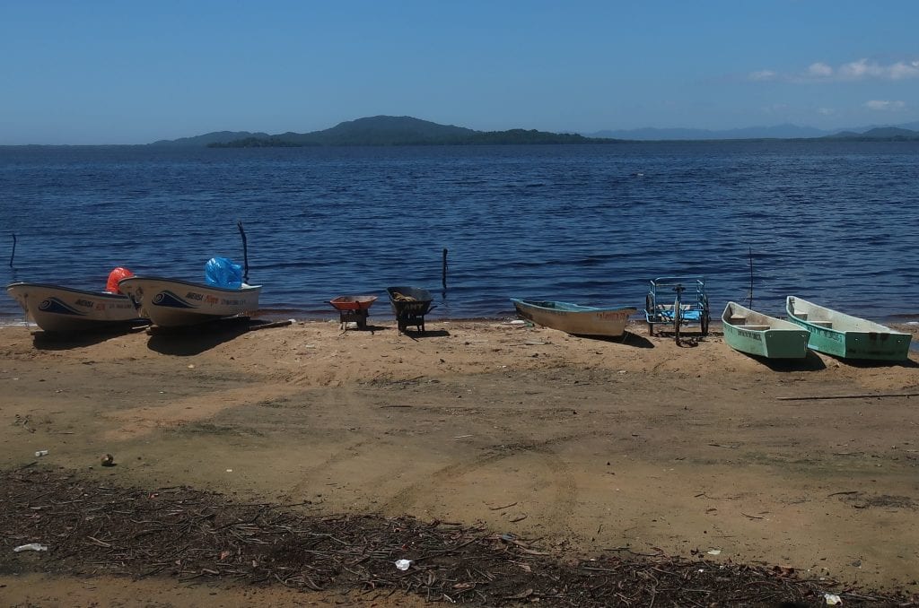 Excellent piece: 'On Dying Land: the Afterlife of Toxicity in an Afromexican Community' by Jayson Maurice Porter & Meztli Yoalli Rodríguez @BlkPerspectives @AAIHS #Black #Mexico #History #BlackEcologies #EnvironmentalJustice
https://t.co/IYxy27UmCU https://t.co/uEXQ56bNo0