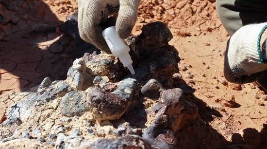 Zehub's tweet image. Des #spermatozoïdes #fossilisés d’animal vieux de 100 millions d’années retrouvés en #Birmanie 
20minutes.fr/planete/286304…